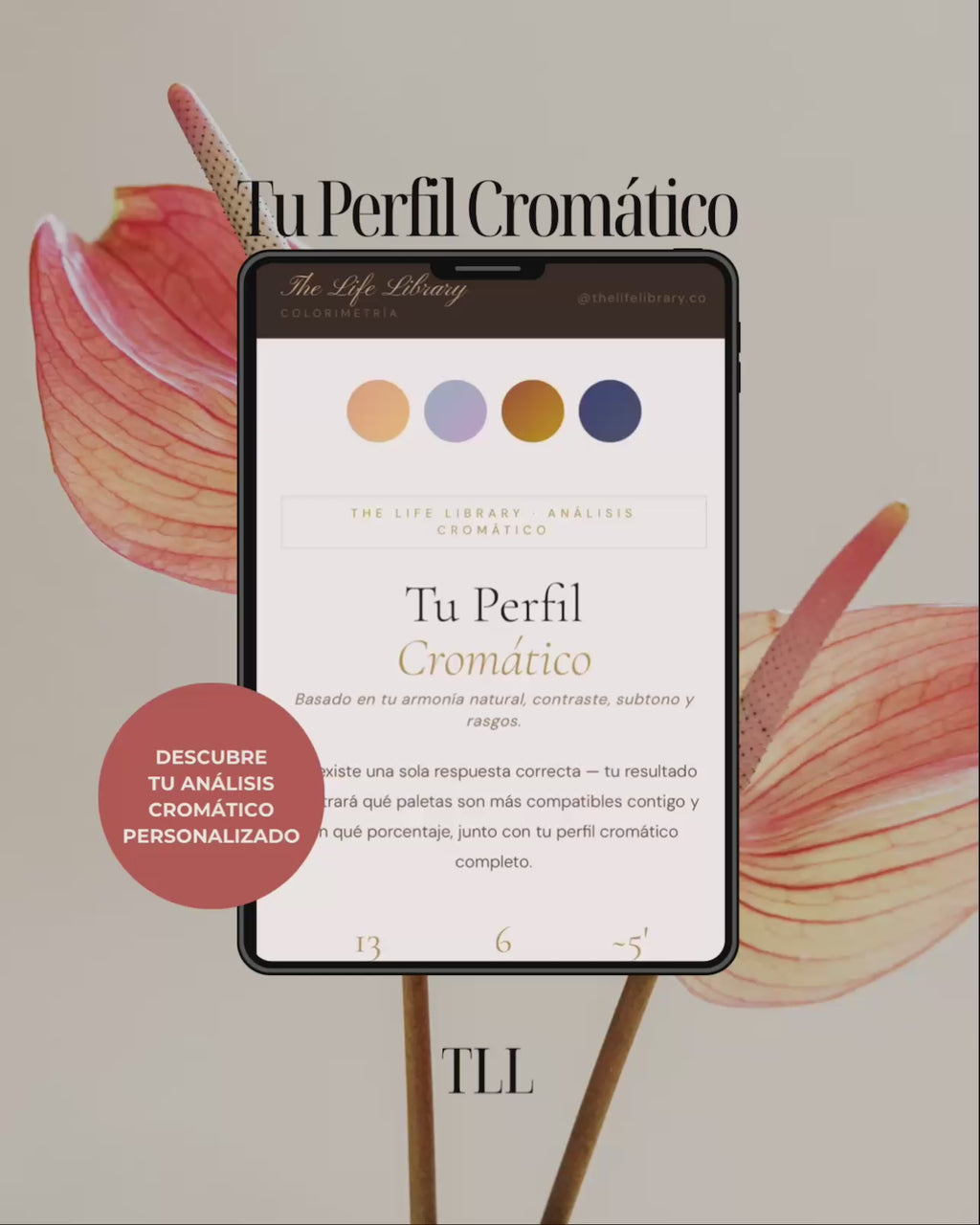 Tu Perfil Cromático — Herramienta interactiva de colorimetría