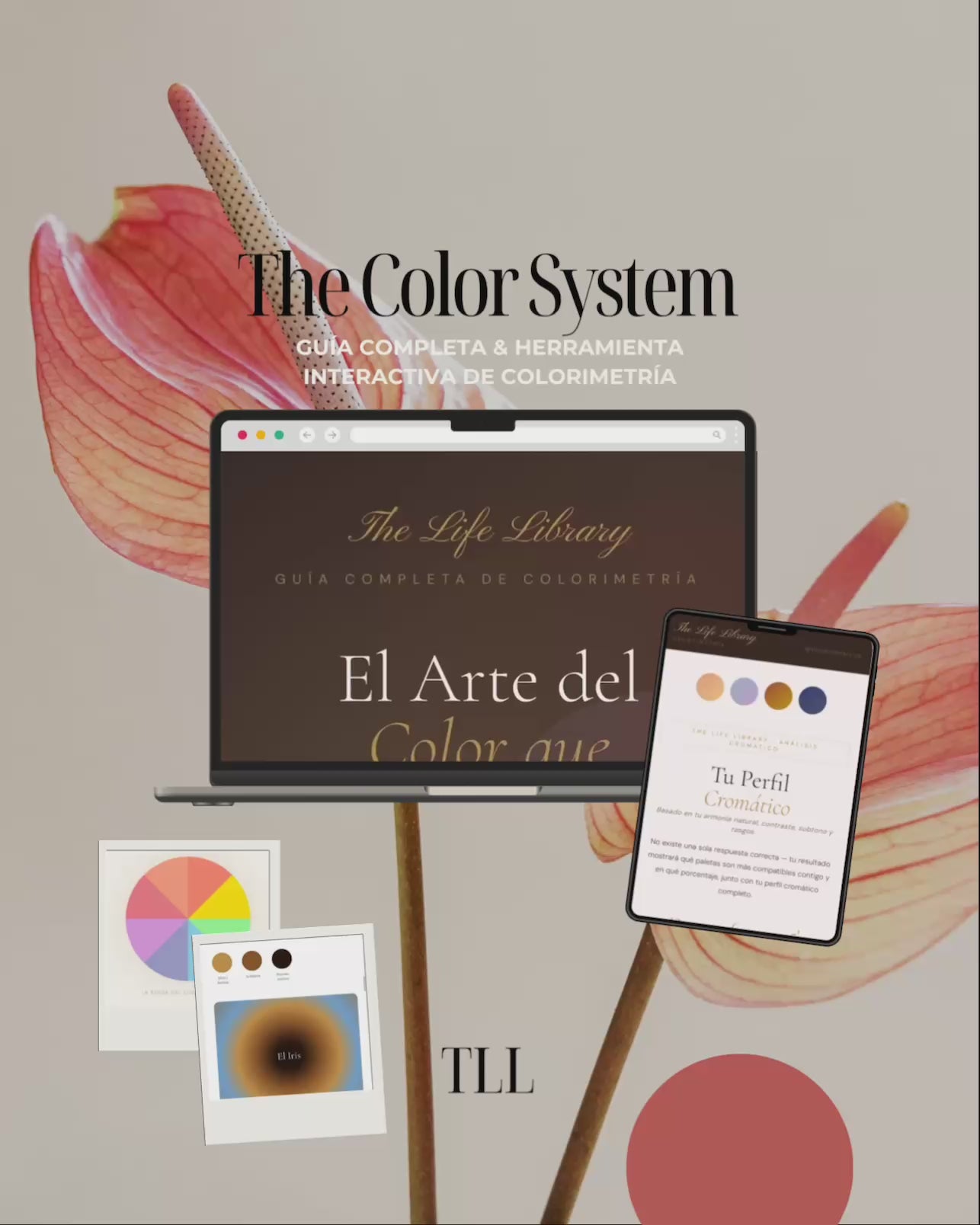 The Color System -
Guía completa & Herramienta Interactiva de Colorimetría